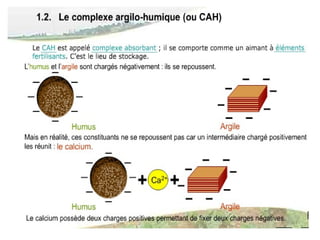 Le cah et elements nutritifs du sol