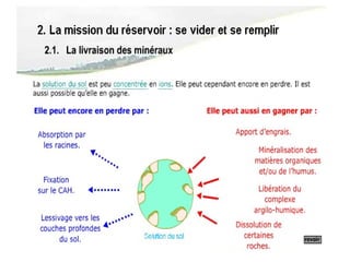 Le cah et elements nutritifs du sol