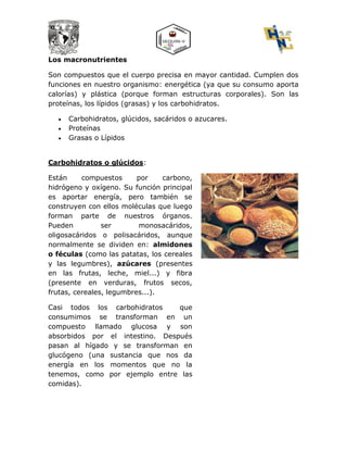 Los macronutrientes
Son compuestos que el cuerpo precisa en mayor cantidad. Cumplen dos
funciones en nuestro organismo: energética (ya que su consumo aporta
calorías) y plástica (porque forman estructuras corporales). Son las
proteínas, los lípidos (grasas) y los carbohidratos.
 Carbohidratos, glúcidos, sacáridos o azucares.
 Proteínas
 Grasas o Lípidos
Carbohidratos o glúcidos:
Están compuestos por carbono,
hidrógeno y oxígeno. Su función principal
es aportar energía, pero también se
construyen con ellos moléculas que luego
forman parte de nuestros órganos.
Pueden ser monosacáridos,
oligosacáridos o polisacáridos, aunque
normalmente se dividen en: almidones
o féculas (como las patatas, los cereales
y las legumbres), azúcares (presentes
en las frutas, leche, miel...) y fibra
(presente en verduras, frutos secos,
frutas, cereales, legumbres...).
Casi todos los carbohidratos que
consumimos se transforman en un
compuesto llamado glucosa y son
absorbidos por el intestino. Después
pasan al hígado y se transforman en
glucógeno (una sustancia que nos da
energía en los momentos que no la
tenemos, como por ejemplo entre las
comidas).
 