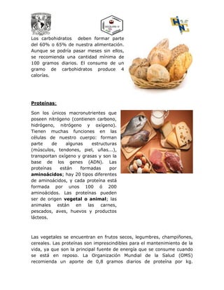 Los carbohidratos deben formar parte
del 60% o 65% de nuestra alimentación.
Aunque se podría pasar meses sin ellos,
se recomienda una cantidad mínima de
100 gramos diarios. El consumo de un
gramo de carbohidratos produce 4
calorías.
Proteínas:
Son los únicos macronutrientes que
poseen nitrógeno (contienen carbono,
hidrógeno, nitrógeno y oxígeno).
Tienen muchas funciones en las
células de nuestro cuerpo: forman
parte de algunas estructuras
(músculos, tendones, piel, uñas...),
transportan oxígeno y grasas y son la
base de los genes (ADN). Las
proteínas están formadas por
aminoácidos; hay 20 tipos diferentes
de aminoácidos, y cada proteína está
formada por unos 100 ó 200
aminoácidos. Las proteínas pueden
ser de origen vegetal o animal; las
animales están en las carnes,
pescados, aves, huevos y productos
lácteos.
Las vegetales se encuentran en frutos secos, legumbres, champiñones,
cereales. Las proteínas son imprescindibles para el mantenimiento de la
vida, ya que son la principal fuente de energía que se consume cuando
se está en reposo. La Organización Mundial de la Salud (OMS)
recomienda un aporte de 0,8 gramos diarios de proteína por kg.
 
