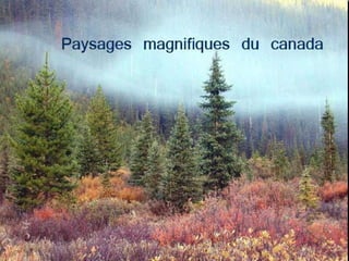 Voici des paysages  magnifiques du Canada 