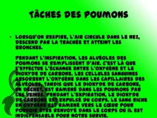 Tâches des poumons

• Lorsqu'on respire, l'air circule dans le nez,
  descend par la trachée et atteint les
  bronches.
  Pendant l'inspiration, les alvéoles des
  poumons se remplissent d'air. C'est là que
  s'effectue l'échange entre l'oxygène et le
  dioxyde de carbone. Les cellules sanguines
  absorbent l'oxygène dans les capillaires des
  alvéoles, tandis que le dioxyde de carbone,
  un déchet, est ramené dans les poumons par
  les veines. Pendant l'expiration, le dioxyde
  de carbone est expulsé du corps. Le sang riche
  en oxygène est ramené vers le cœur pour
  pouvoir être renvoyé dans le corps où il est
  indispensable pour notre survie.
 