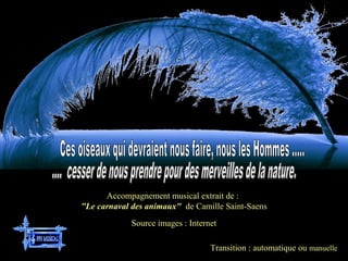Transition : automatique ou manuelle
Source images : Internet
Accompagnement musical extrait de :
"Le carnaval des animaux" de Camille Saint-Saens
 
