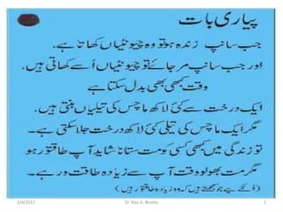 2/4/2012   Dr. Riaz A. Bhutto   1
 