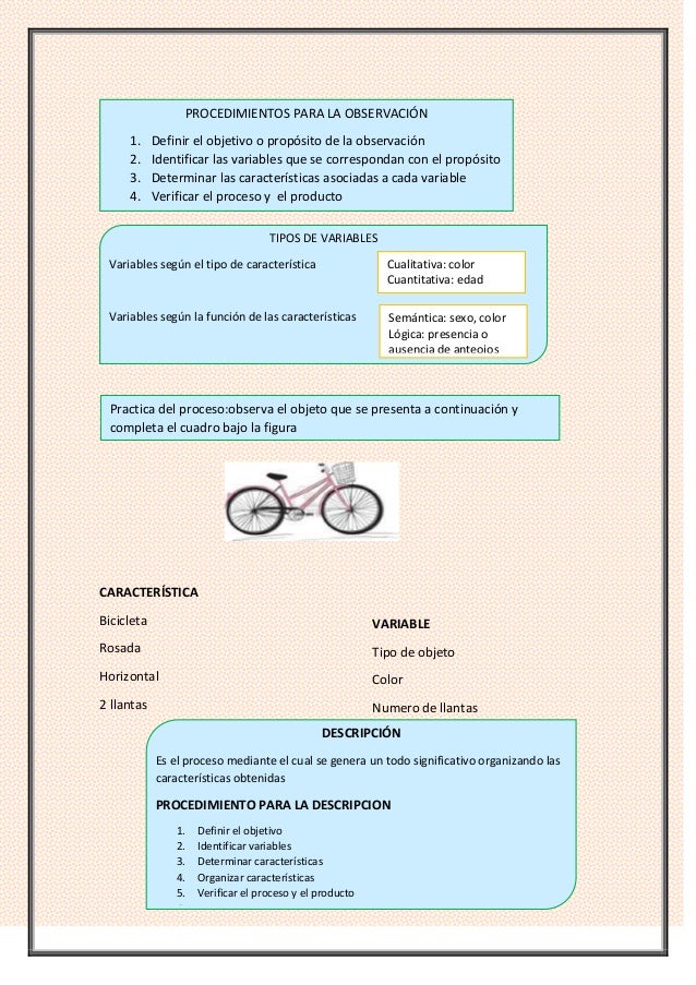 procesos basicos observacion y descripcion