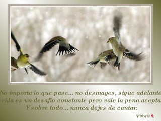 No importa lo que pase... no desmayes, sigue adelante. La vida es un desafío constante pero vale la pena aceptarlo. Y sobre todo... nunca dejes de cantar.  Nor @ 