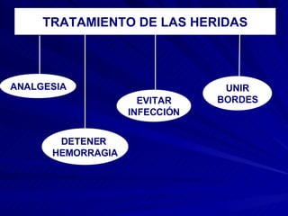 TRATAMIENTO DE LAS HERIDAS ANALGESIA DETENER  HEMORRAGIA EVITAR INFECCIÓN UNIR BORDES 