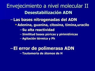 Envejecimiento a nivel molecular II   Desestabilización ADN Las bases nitrogenadas del ADN Adenina, guanina, citosina, timina,uracilo Su alta reactividad Similitud bases púricas y pirimidínicas Agitación térmica y Ph  El error de polimerasa ADN Tautomería de átomos de H  