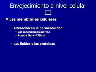 Envejecimiento a nivel celular III Las membranas celulares Alteración en la permeabilidad Los mecanismos activos  Bomba Na-K-ATPasa Los lípidos y las proteinas 
