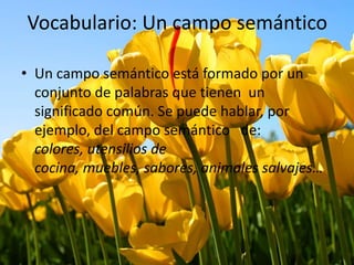 Vocabulario: Un campo semántico
• Un campo semántico está formado por un
conjunto de palabras que tienen un
significado común. Se puede hablar, por
ejemplo, del campo semántico de:
colores, utensilios de
cocina, muebles, sabores, animales salvajes…
 