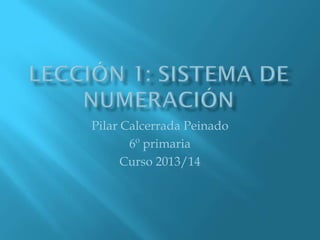Pilar Calcerrada Peinado
6º primaria
Curso 2013/14
 