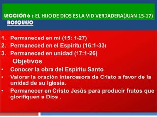 LECCIÓN 6 : EL HIJO DE DIOS ES LA VID VERDADERA(JUAN 15-17)
 