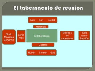 Aser     Dan        Neftalí

                           meraritas

                                                   Moisés y      Judá
 Efraín    gerso       El tabernáculo                los        Isacar
Manasés    nitas                                  sacerdotes   Zabulón
Benjamín

                             Coatitas


                   Rubén     Simeón       Gad
 
