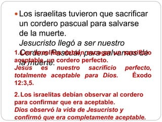 Los israelitas tuvieron que sacrificar
un cordero pascual para salvarse
de la muerte.
Jesucristo llegó a ser nuestro
Cordero Pascual, para salvarnos de
la muerte.
1.Los israelitas debían escoger un sacrificio
aceptable, un cordero perfecto.
Jesús es nuestro sacrificio perfecto,
totalmente aceptable para Dios. Éxodo
12:3,5.
2.Los israelitas debían observar al cordero
para confirmar que era aceptable.
Dios observó la vida de Jesucristo y
confirmó que era completamente aceptable.
 