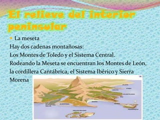 El relieve del interior
peninsular
 La meseta
Hay dos cadenas montañosas:
Los Montes de Toledo y el Sistema Central.
Rodeando la Meseta se encuentran los Montes de León,
la cordillera Cantábrica, el Sistema Ibérico y Sierra
Morena
 