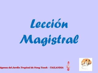 Lección
Magistral
mágenes del Jardín Tropical de Nong Tooch - TAILANDIAágenes del Jardín Tropical de Nong Tooch - TAILANDIA
 