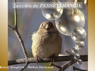 Lección de PERSEVERANCIA  Música: Songbird – Barbra Streisand  