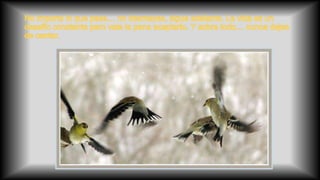 Lección de perseverancia