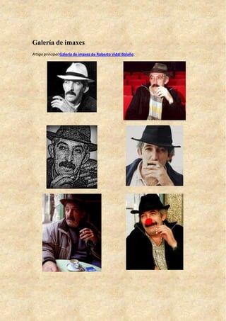 Galería de imaxes
Artigo principal:Galería de imaxes de Roberto Vidal Bolaño.
 
