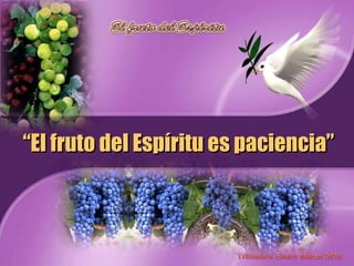 “ El fruto del Espíritu es paciencia” 