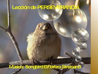 Lección de PERSEVERANCIA   Música: Songbird – Barbra Streisand   