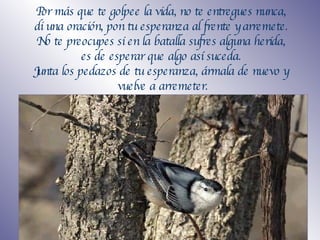 P or más que te golpee la vida ,  no te entregues nunca,  di una oración, pon tu esperanza al frente y arremete .   N o te preocupes si en la batalla sufres alguna herida,  es de esperar que algo así suceda.  Junta los pedazos de tu esperanza, ármala de nuevo y  vuelve a arremeter. 