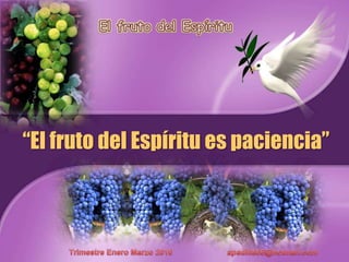 El fruto del Espíritu “El fruto del Espírituespaciencia” TrimestreEneroMarzo 2010                         apadilla88@hotmail.com 