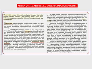 MESEN QUIMA, MESOGLEA, COLENQUIMA, PARENQUIMA
 