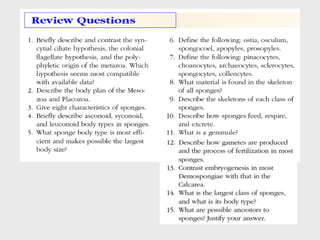 Leccion_06_Poriferos_Tipos_de_Celulas.pdf