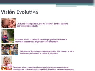 Visión Evolutiva Criaturas desamparadas, que no tenemos control ninguno sobre nuestra conducta. Ya puede mover la totalidad del cuerpo; puede acercarse a las cosas deseables y alejarse de las indeseables. Comienza a dominarse el lenguaje verbal. Por ensayo, error o imitación aprendemos a hablar, a preguntar.Aprenden a leer, a ampliar el medio que los rodea, acrecienta la comprensión. En la escuela se aprende a razonar, a tomar decisiones.