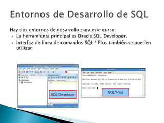 Hay dos entornos de desarrollo para este curso:
 La herramienta principal es Oracle SQL Developer.
 Interfaz de línea de comandos SQL * Plus también se pueden
utilizar
 
