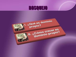BOSQUEJO 