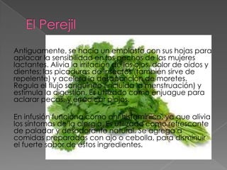 Antiguamente, se hacía un emplasto con sus hojas para
aplacar la sensibilidad en los pechos de las mujeres
lactantes. Alivia la irritación de los ojos, dolor de oídos y
dientes; las picaduras de insectos (también sirve de
repelente) y acelera la desaparición de moretes.
Regula el flujo sanguíneo (incluida la menstruación) y
estimula la digestión. Es utilizado como enjuague para
aclarar pecas, y erradicar piojos.

En infusión funciona como antihistamínico, ya que alivia
los síntomas de la alergia. Es utilizado como refrescante
de paladar y desodorante natural. Se agrega a
comidas preparadas con ajo o cebolla, para disminuir
el fuerte sabor de estos ingredientes.
 