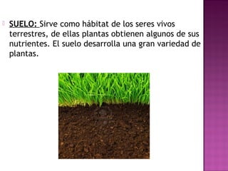  SUELO: Sirve como hábitat de los seres vivos
terrestres, de ellas plantas obtienen algunos de sus
nutrientes. El suelo desarrolla una gran variedad de
plantas.
 
