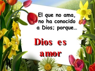 El que no ama, no ha conocido a Dios; porque… (1 Juan 4:8) Dios es amor 