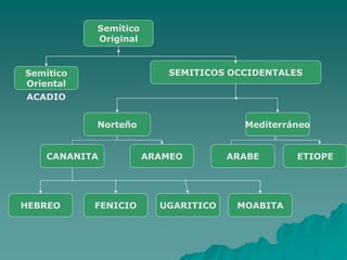 Semítico
Original
Semítico
Oriental
SEMITICOS OCCIDENTALES
Norteño Mediterráneo
CANANITA ARAMEO ARABE ETIOPE
HEBREO FENICIO UGARITICO MOABITA
ACADIO
 