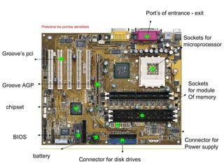 chipset BIOS Groove’s pci Groove AGP battery Port’s of entrance - exit Sockets for  microprocessor Sockets for module Of memory Connector for disk drives Connector for  Power supply 