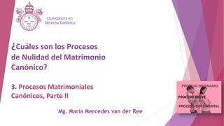 ¿Cuáles son los Procesos
de Nulidad del Matrimonio
Canónico?
3. Procesos Matrimoniales
Canónicos, Parte II
Licenciatura en
Derecho Canónico
Mg. María Mercedes van der Ree
 