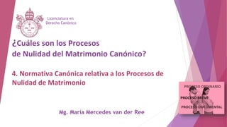 ¿Cuáles son los Procesos
de Nulidad del Matrimonio Canónico?
4. Normativa Canónica relativa a los Procesos de
Nulidad de Matrimonio
Licenciatura en
Derecho Canónico
Mg. María Mercedes van der Ree
 