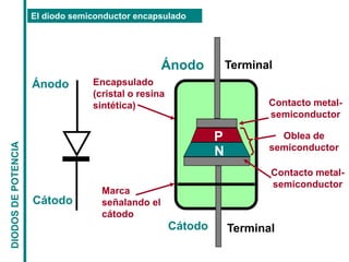 El diodo semiconductor encapsulado
Ánodo
Cátodo
Ánodo
Cátodo
Encapsulado
(cristal o resina
sintética)
Terminal
Terminal
P
...