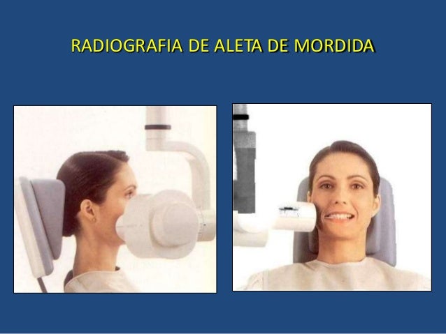 Leccion 4 y seminario 2