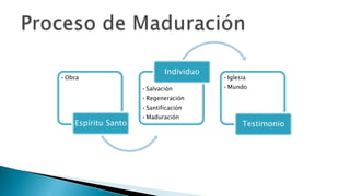 Proceso de Maduración