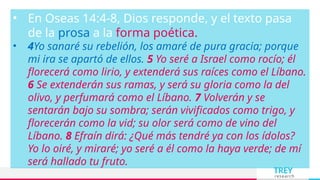 TREY
research
• En Oseas 14:4-8, Dios responde, y el texto pasa
de la prosa a la forma poética.
• 4Yo sanaré su rebelión, los amaré de pura gracia; porque
mi ira se apartó de ellos. 5 Yo seré a Israel como rocío; él
florecerá como lirio, y extenderá sus raíces como el Líbano.
6 Se extenderán sus ramas, y será su gloria como la del
olivo, y perfumará como el Líbano. 7 Volverán y se
sentarán bajo su sombra; serán vivificados como trigo, y
florecerán como la vid; su olor será como de vino del
Líbano. 8 Efraín dirá: ¿Qué más tendré ya con los ídolos?
Yo lo oiré, y miraré; yo seré a él como la haya verde; de mí
será hallado tu fruto.
 