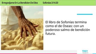 TREY
research
B-regocijarseEnLaBendicionDeDios Sofonías3:14-20
El libro de Sofonías termina
como el de Oseas: con un
poderoso salmo de bendición
futura.
 