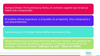 TREY
research
Aunque Oseas 14 no precisa su fecha, el contexto sugiere que Israel ya
había sido conquistado.
El profeta ofrece esperanza: si el pueblo se arrepentía, Dios restauraría a
sus descendientes.
Los versículos 2-3 indican cómo debían acercarse a Dios.
Oseas enfatiza que el arrepentimiento debía ser sincero, con palabras de
confesión (no solo sacrificios), siguiendo un llamado recurrente en los
profetas: "volverse al Señor“ heb.‫ָה‬ ‫ְהו‬ ‫ֶל־י‬‫א‬ ‫ב‬
ּ ‫ׁו‬‫ש‬"'' (Shuv el-YHWH).
 