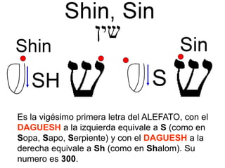 SH S
Es la vigésimo primera letra del ALEFATO, con el
DAGUESH a la izquierda equivale a S (como en
Sopa, Sapo, Serpiente) y con el DAGUESH a la
derecha equivale a Sh (como en Shalom). Su
numero es 300.
 