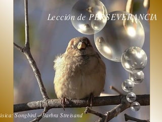Lección de PERSEVERANCIA   Música: Songbird – Barbra Streisand   