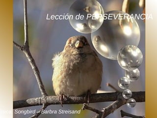 Lección de PERSEVERANCIA
úsica: Songbird – Barbra Streisand
 