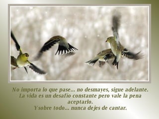 No importa lo que pase... no desmayes, sigue adelante. La vida es un desafío constante pero vale la pena aceptarlo. Y sobre todo... nunca dejes de cantar. 
