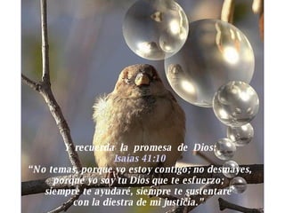 Y  recuerda  la  promesa  de  Dios: Isaías 41:10 “No temas, porque yo estoy contigo; no desmayes, porque yo soy tu Dios que te esfuerzo;  siempre te ayudaré, siempre te sustentaré  con la diestra de mi justicia.”  